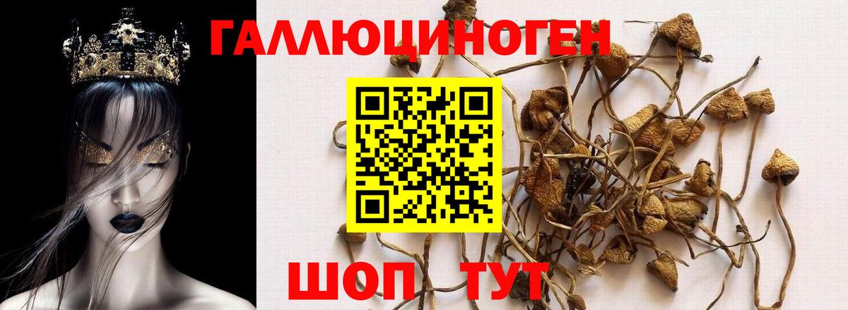 Галлюциногенные грибы Magic Shrooms Лесосибирск