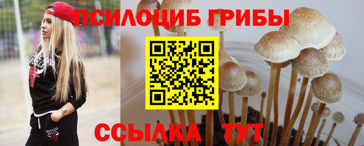 Лесосибирск  Псилоцибиновые грибы GOLDEN TEACHER  купить наркотики цена  Вход с VPN 